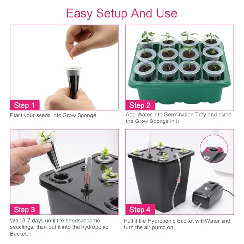DWC 2 Hydroponic Buckets Kit for Plants, Hydroponics Growing System for Herbs/Tomato/Vegetables, DWC System with Air Pump & Germination Tray (Complete Indoor Hydroponic Gardening Supplies) (Black) - size: 2 Bucket Kit (Black)