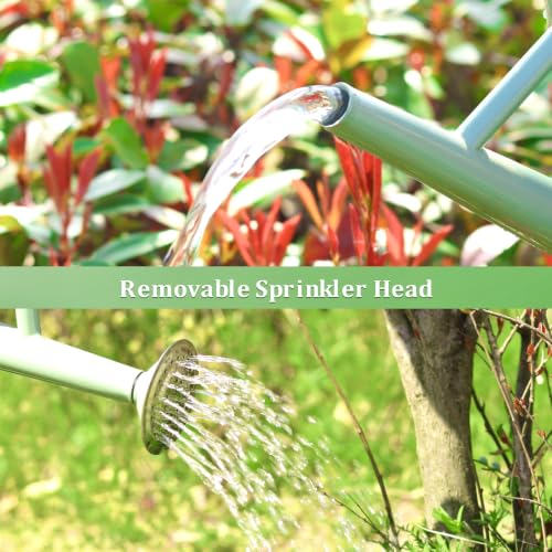 1 Gallon Watering Can for Outdoor&Indoor Plants - color: Cream Green