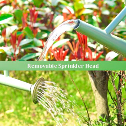 1 Gallon Watering Can for Outdoor&Indoor Plants - color: Cream Green