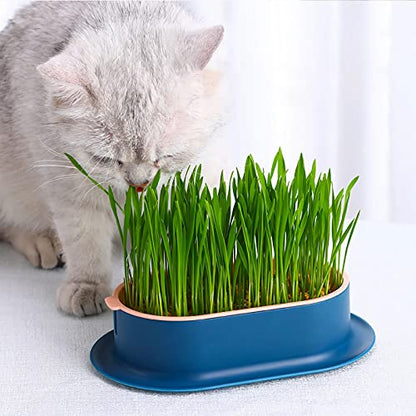 2Pcs Cat Grass Planter for Indoor Hydroponic Wheatgrass Seed Sprout Tray Organic Cat Grass Growing Kit (No Seeds Included) Soilless Pot Planting Box (G) - color: G