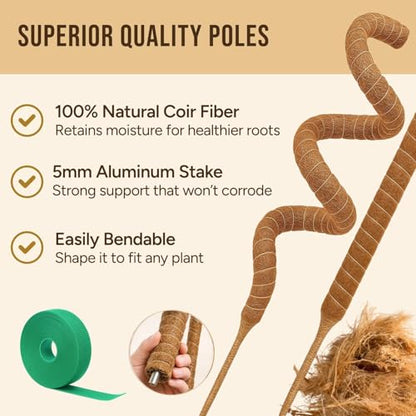 30" Moss Pole Monstera Plant Support, Plant Stakes for Indoor Plants - size: 2-Pack (30 in)