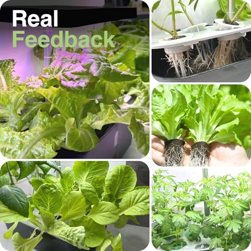 60 Pcs Hydroponic Grow Sponges Seed Pods Replacement