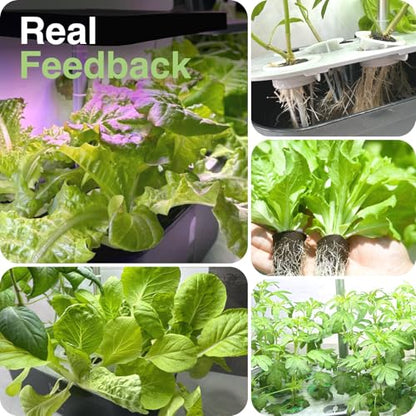 60 Pcs Hydroponic Grow Sponges Seed Pods Replacement