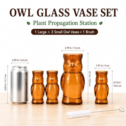 Nacome Owl Plant Propagation Station: Set of 4 Cute Brown Glass Vases - color: Brown