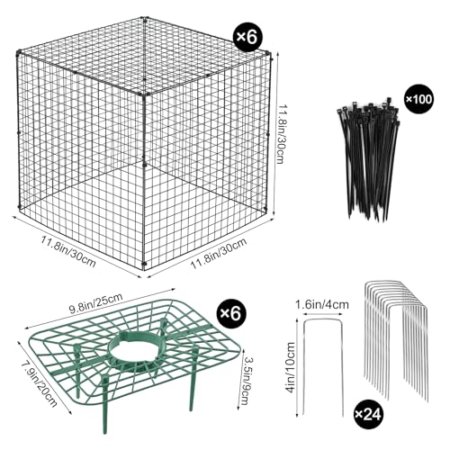 6 Set Upgraded Strawberry Protection Supports with Wire Plant Protectors from Animal Sturdy Metal Wire Plant Cages Mesh Plant Cover Strawberry Growing Racks Planting Stand for Garden,12 Inch Square