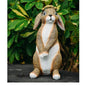 Lonyin Rabbit Garden Statue, Bunny Animal Figurines Indoor Outdoor Statues - color: Large Flower Rabbit