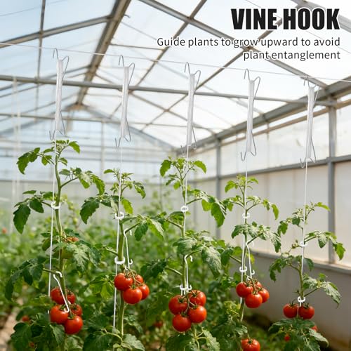 Tomato Support Hooks with Tomato Clips, Tomato Hooks with String 190pcs - size: 33.3ft-30ps