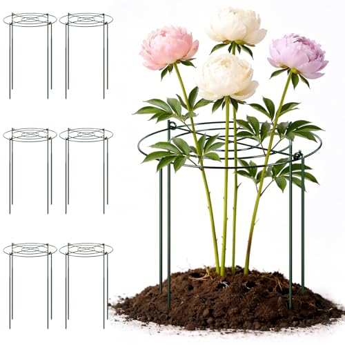 Geelin 6 Pcs Adjustable Peony Cages and Supports, 24 x 12 Inch / 9 x 12 Inch Metal Peony Support Cage, Large Plant Frame Rings for Garden Outdoor Plants Flowers Tomato Vegetables, Height Adjustable - size: 24 x 12 Inch / 9 x 12 Inch