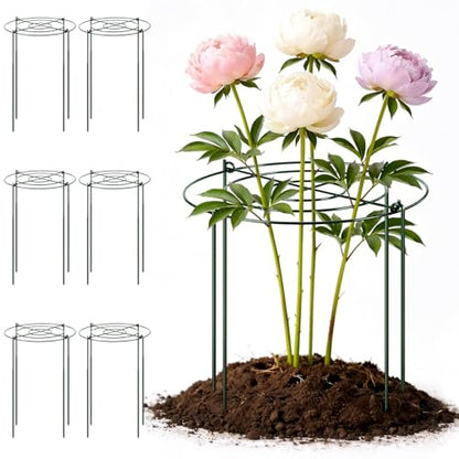 Geelin 6 Pcs Adjustable Peony Cages and Supports, 24 x 12 Inch / 9 x 12 Inch Metal Peony Support Cage, Large Plant Frame Rings for Garden Outdoor Plants Flowers Tomato Vegetables, Height Adjustable - size: 24 x 12 Inch / 9 x 12 Inch