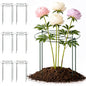 Geelin 6 Pcs Adjustable Peony Cages and Supports, 24 x 12 Inch / 9 x 12 Inch Metal Peony Support Cage, Large Plant Frame Rings for Garden Outdoor Plants Flowers Tomato Vegetables, Height Adjustable - size: 24 x 12 Inch / 9 x 12 Inch