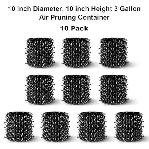 RooTrimmer 3 Gallon Air Pruning Container New Plastic Nursery Pot Fruit Vegetable Garden self-Planting pots, Size 10"x10", Black - size: 3 gallon-10P
