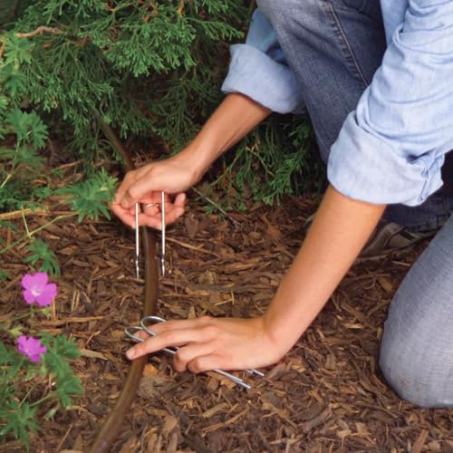 Rain Bird GS50/10PS Drip Stake, 1/2", 20-Pack - size: 20-Pack, style: Galvanized Wire Stake