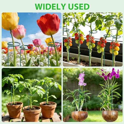 Unves 12 Pack Plant Support Stakes, 36 in Plant Stakes(36 or 24 or 12 Inch) - size: 36 Inch
