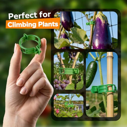 100Pcs Tomato Clips for Climbing Plants Trellis Plant Support Clips - color: Green