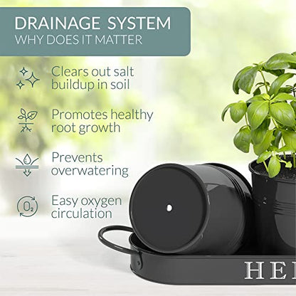 Barnyard Designs Indoor Herb Garden Planter Pots with Tray Set/3 (Black) - color: Black