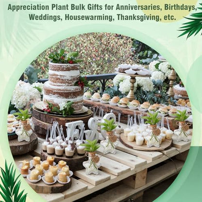 24 Pack 3.74'' Star Plastic Plant Propagation Stations with Hole Lid - style: 3.74'' Star