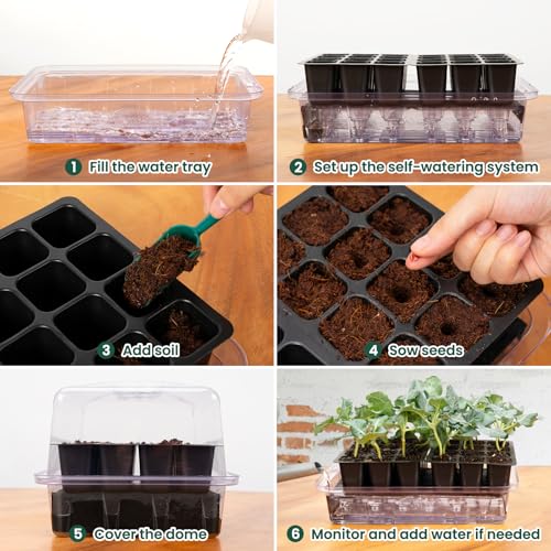 SOLIGT Self Watering Seed Starter Trays with Humidity Domes 6 Pack 144 Cell