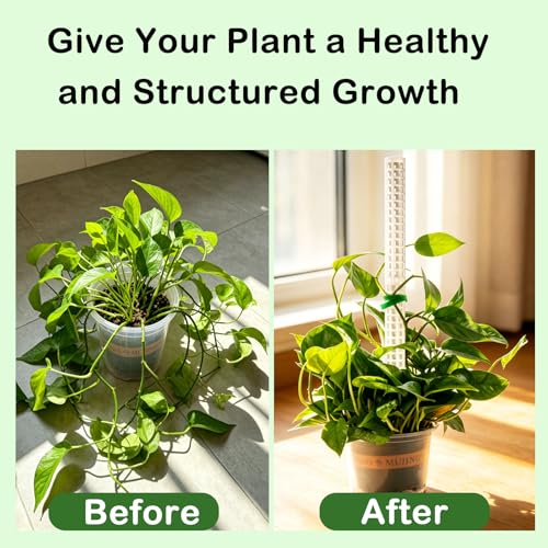 Stackable Small Moss Pole for Monstera Pothos, Fillable Support - size: 4pack,small,White