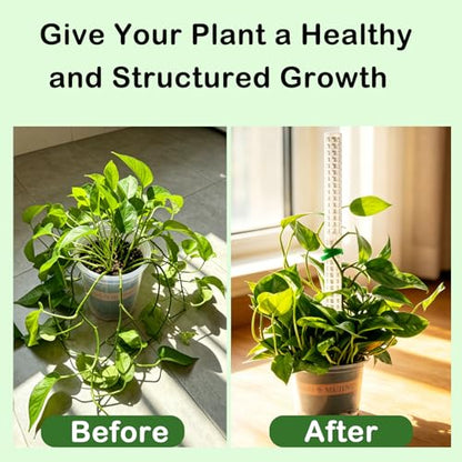 Stackable Small Moss Pole for Monstera Pothos, Fillable Support - size: 4pack,small,White