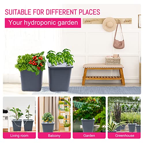 2 Hydroponic Buckets Kit for Plants, Hydroponics Growing System for Herbs/Tomato/Vegetables, DWC System with Air Pump & Germination Tray (Complete Indoor Hydroponic Gardening Supplies) - size: 2 Buckets Kit (Grey)