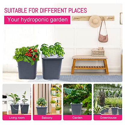 2 Hydroponic Buckets Kit for Plants, Hydroponics Growing System for Herbs/Tomato/Vegetables, DWC System with Air Pump & Germination Tray (Complete Indoor Hydroponic Gardening Supplies) - size: 2 Buckets Kit (Grey)