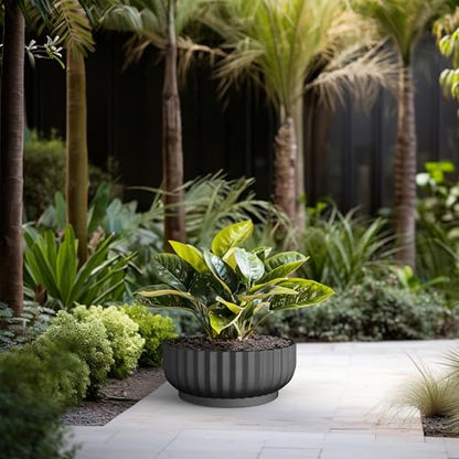 Kante Accent Round Shallow Black Concrete Planter 20.9" Dia, Outdoor - color: Black, size: 20.9"w x 8.3"h
