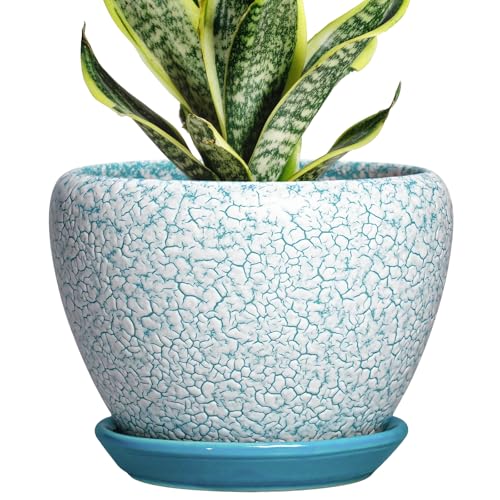 Ceramic Plant Pot, 6 Inch Indoor Planters, Crackle Blue - color: Crackle Blue, size: 6 Inch
