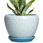 Ceramic Plant Pot, 6 Inch Indoor Planters, Crackle Blue - color: Crackle Blue, size: 6 Inch