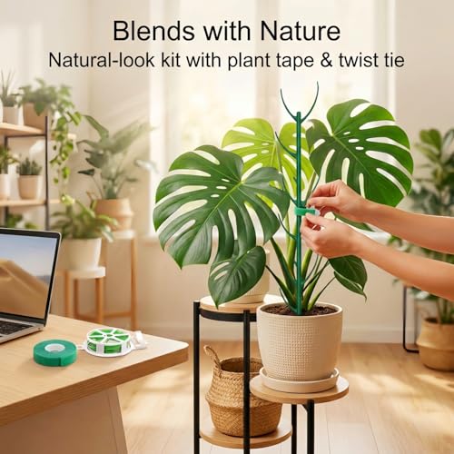10-Pack Monstera Plant Support Stakes - Stackable Sticks