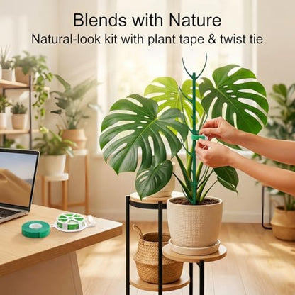 10-Pack Monstera Plant Support Stakes - Stackable Sticks