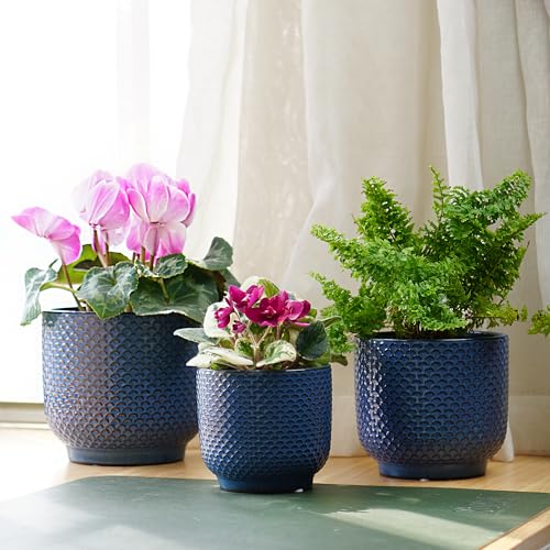 4 + 5 + 6 Inch Ceramic Pots for Indoor Plants, Succulents Plant Pots, Orchid Flower Pot with Drainage Hole, Modern Clay Stoneware Planters, Set of 3 (Dusty Blue, 4+5+6 Inch) - color: Dusty Blue