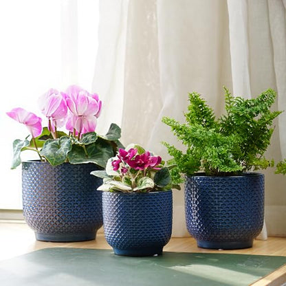 4 + 5 + 6 Inch Ceramic Pots for Indoor Plants, Succulents Plant Pots, Orchid Flower Pot with Drainage Hole, Modern Clay Stoneware Planters, Set of 3 (Dusty Blue, 4+5+6 Inch) - color: Dusty Blue
