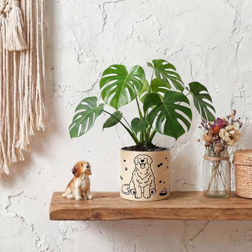 STHIE Ceramic Planters with Drainage Holes, 5 Inch Pots for Indoor Plants - color: Cy-goldbowl01