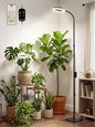 GLOWRIUM Smart Grow Light for Indoor Plants, Full Spectrum LED Plant Light
