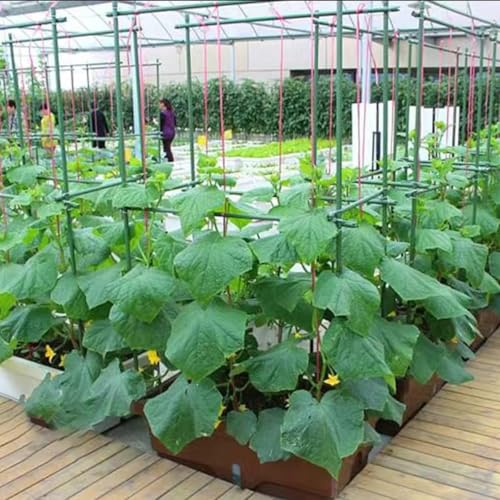 6Ft 72inch Garden Stakes Sturdy Plant Sticks Support Tomato Stakes for Vegetable,Pack of 20 - size: 6Ft-20 Pcs