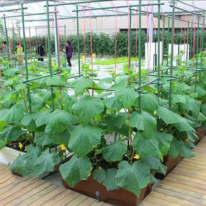 6Ft 72inch Garden Stakes Sturdy Plant Sticks Support Tomato Stakes for Vegetable,Pack of 20 - size: 6Ft-20 Pcs