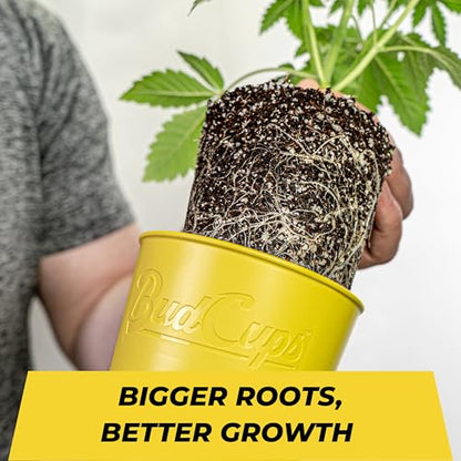 BudTrainer BudCups Nursery Pots for Seedlings, 16 Oz, Black, 5-Pack - color: Black
