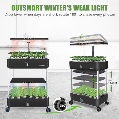 Large Hydroponics Growing System Kit,44-Pod with 3 Seed Packs - size: 2-Tier