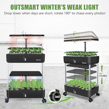 Large Hydroponics Growing System Kit,44-Pod with 3 Seed Packs - size: 2-Tier