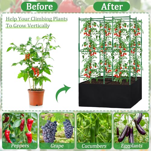 Tomato Cages, Square Tomato Plant Stakes Support Cages Trellis