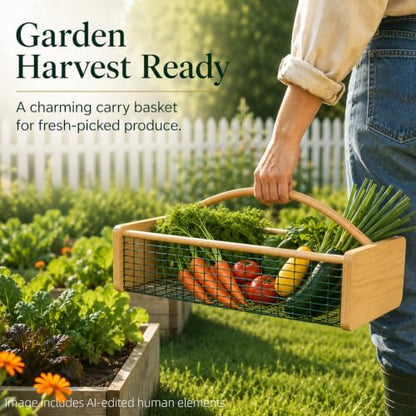 Extra Large Garden Harvest Basket for Vegetables - size: Extra Large