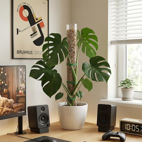 6 Pcs Plastic Moss Pole for Monstera 6×24'' Plant Poles for Climbing Plants Shaped Plant Support Indoor Use with Sphagnum Moss for Climbing Plants Work 24 Inch