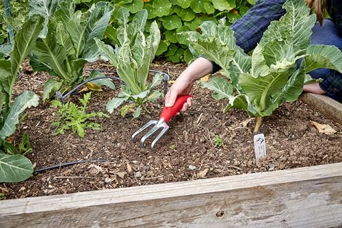 Corona CT 3030I Comfort Cultivator