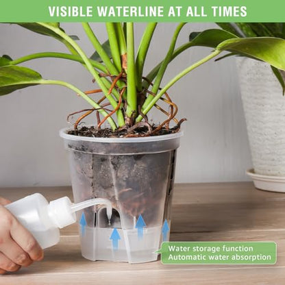 GREENPARA 5 Inch Clear Self Watering Planter, Plant Pot with Reservoir