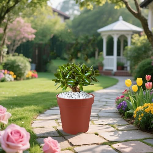50 Pack 2 Inch Mini Plastic Plant Pots