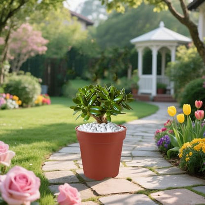 50 Pack 2 Inch Mini Plastic Plant Pots
