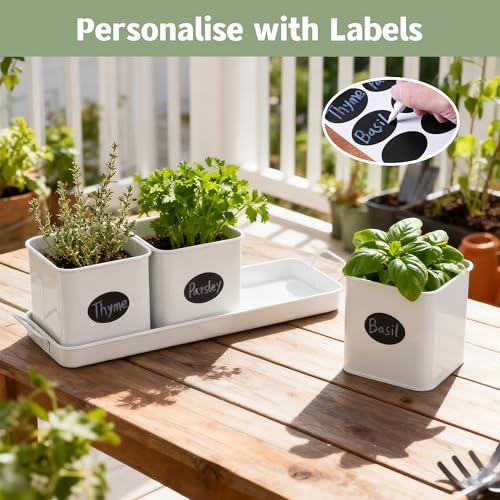 Indoor Herb Planter with 3 Herb Pots and Handled Tray