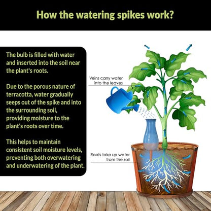 Drip Irrigation Stakes - Extra Large Improved Drip Easy-Refill 4 Week Waterer System with Large Reservoir Bulbs - Automatic Self-Watering Device for Indoor & Outdoor Plants - color: Black, Red, Blue and Yellow