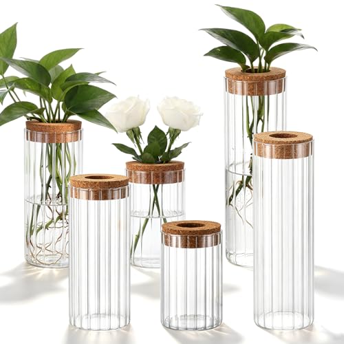 6 Sets Glass Plant Propagation Vases Cork Lid, 3 Size Desktop