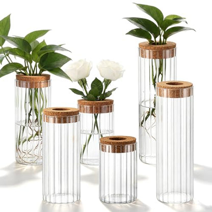 6 Sets Glass Plant Propagation Vases Cork Lid, 3 Size Desktop